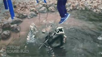 鳄鱼吃瓜gif,瓜果成盘中餐