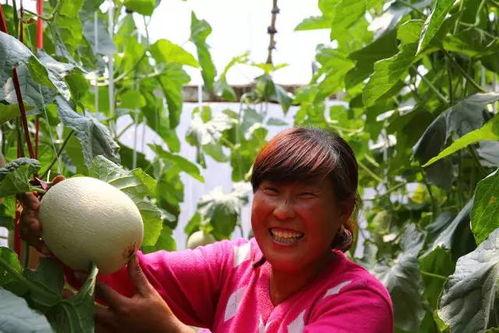 18线吃瓜,吃瓜群众的日常