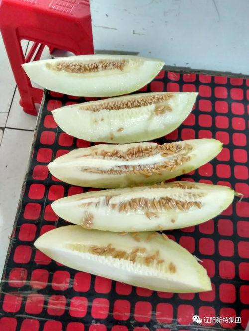 吃瓜微区,网络热议背后的真相与趣味