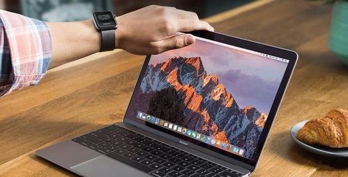 mac小金盒吃瓜,一场关于吃瓜的科技盛宴