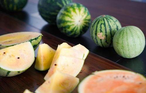 mac小金盒吃瓜,一场关于吃瓜的科技盛宴