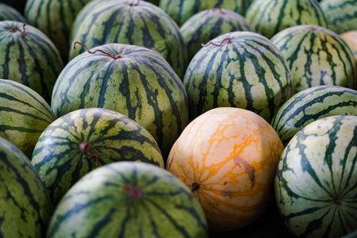 mac小金盒吃瓜,一场关于吃瓜的科技盛宴