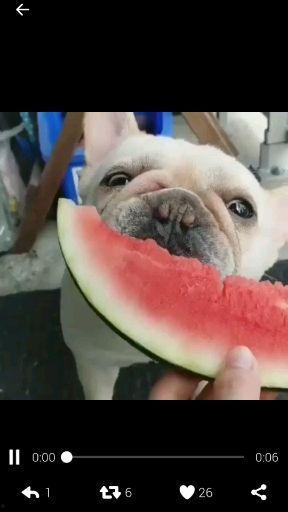 图像吃瓜什么心理,揭秘“吃瓜群众”背后的心理奥秘