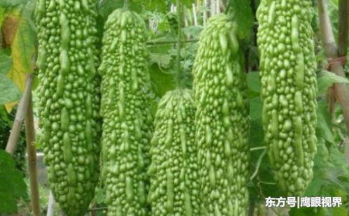 图像吃瓜什么心理,揭秘“吃瓜群众”背后的心理奥秘