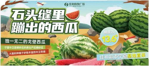 今日大赛每日吃瓜