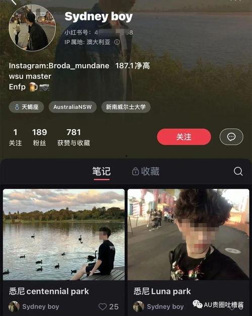 PDF吃瓜留学圈,从PDF吃瓜看留学生活百态
