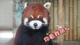 吃瓜就要美滋滋,吃瓜群众的美滋滋生活指南