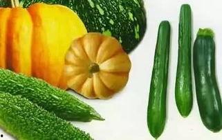 吃瓜童年,回味那些年我们一起“吃瓜”的日子