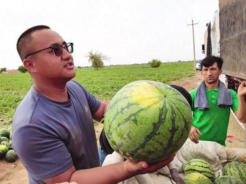日不落吃瓜,吃瓜群众眼中的世界风云变幻