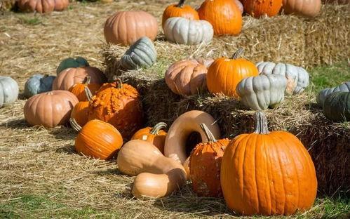 日不落吃瓜,吃瓜群众眼中的世界风云变幻