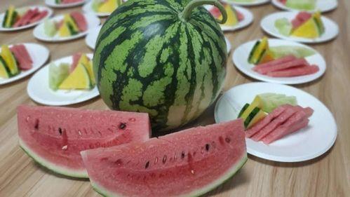 常熟董浜吃瓜,一场别开生面的“吃瓜”盛宴