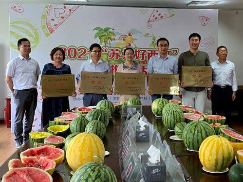 常熟董浜吃瓜,一场别开生面的“吃瓜”盛宴