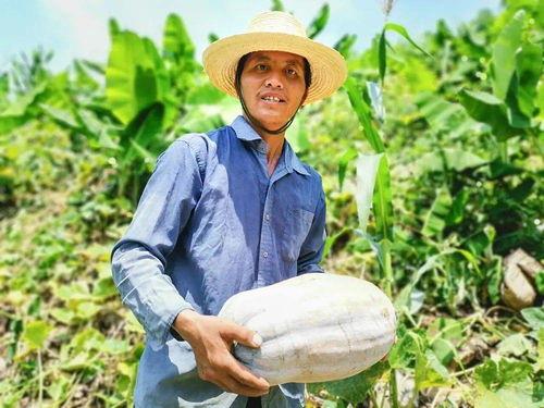 靠吃瓜卖钱,揭秘靠吃瓜卖钱的独特商机