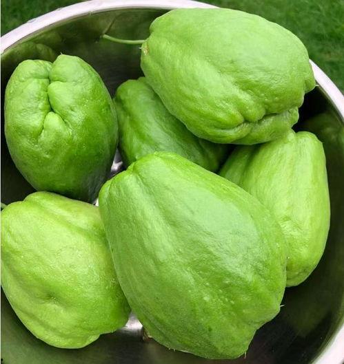 12岁吃瓜,揭秘童年的趣味与成长