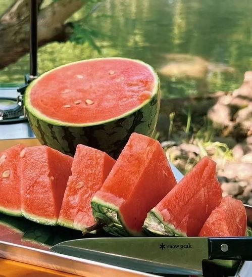 辣小荟吃瓜,揭秘娱乐圈那些不为人知的幕后故事