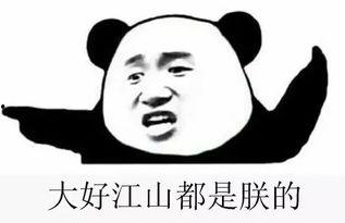 吃瓜专群,网络社交新趋势下的娱乐风向标