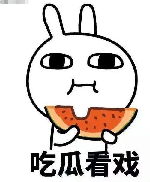 吃瓜专群,网络社交新趋势下的娱乐风向标