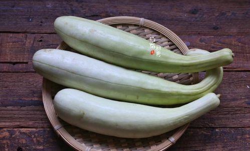 吃最好的瓜,探寻最佳口感与营养的瓜果之旅