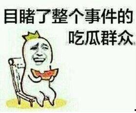 吃瓜不忘吃瓜人下一句怎么说,揭秘网络舆论背后的真相