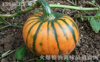 吃楠瓜减肥吗,天然美味助你轻松瘦身